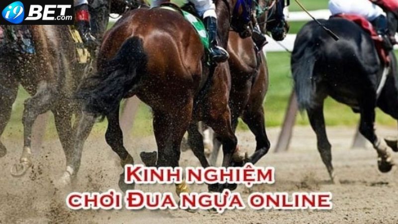 I9Bet chia sẻ kinh nghiệm chinh phục cá cược đua ngựa online