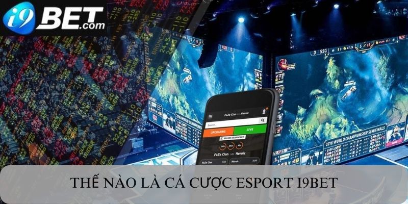 Thế nào là cá cược Esport I9bet